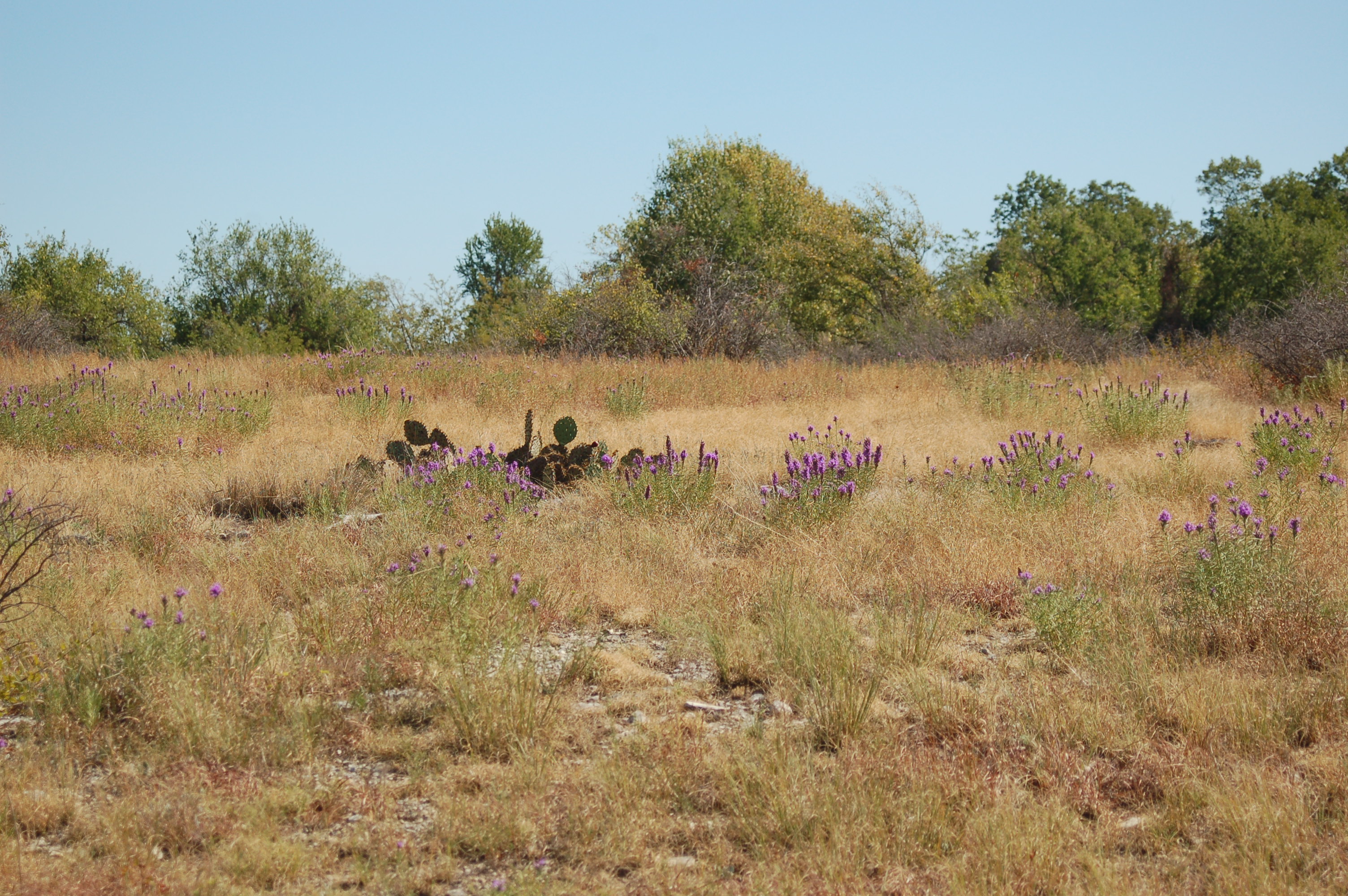 Pontotoc Ridge