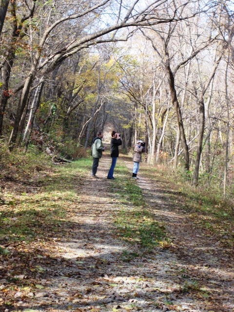 Railroad Trail